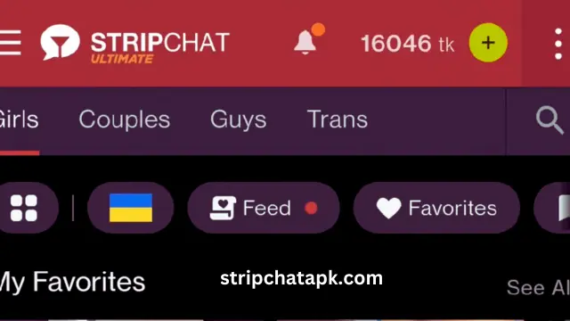 Stripe chat